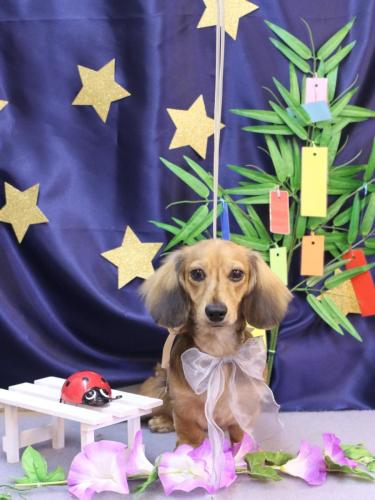 20230719ラテくん